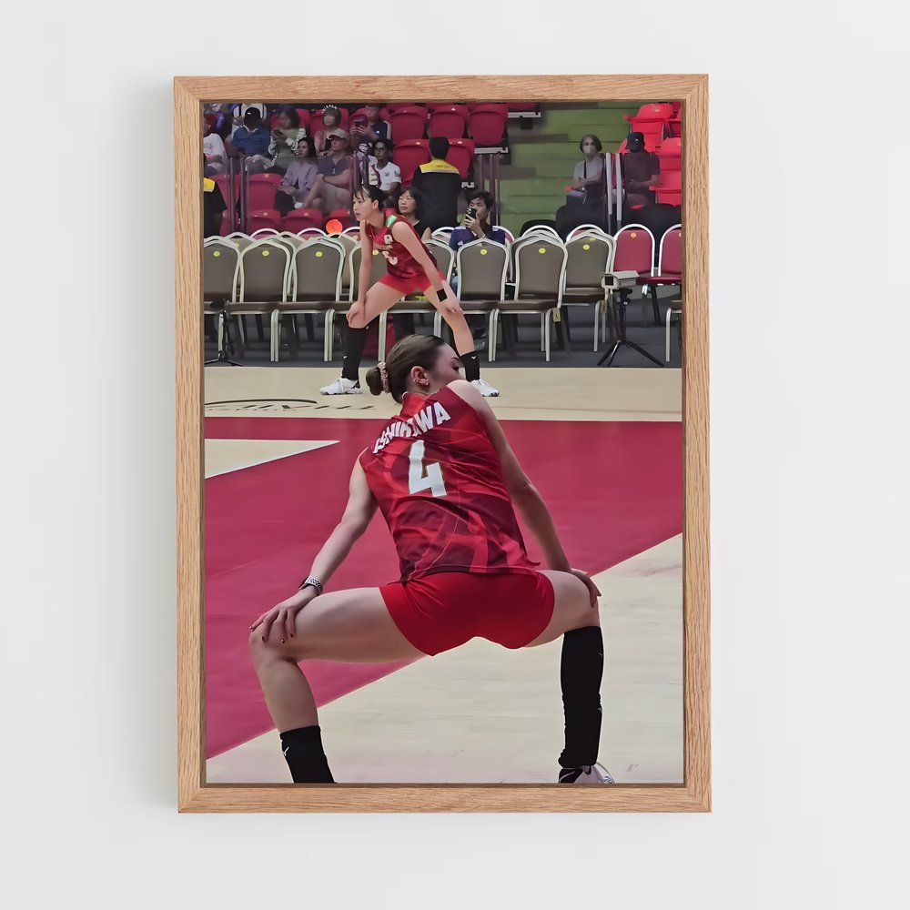 Poster Volleyball world (vue 4)